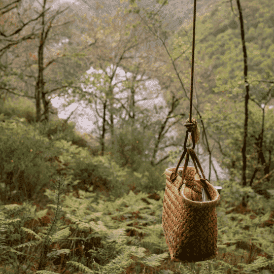 cart-cadeau-page-experience__img-4